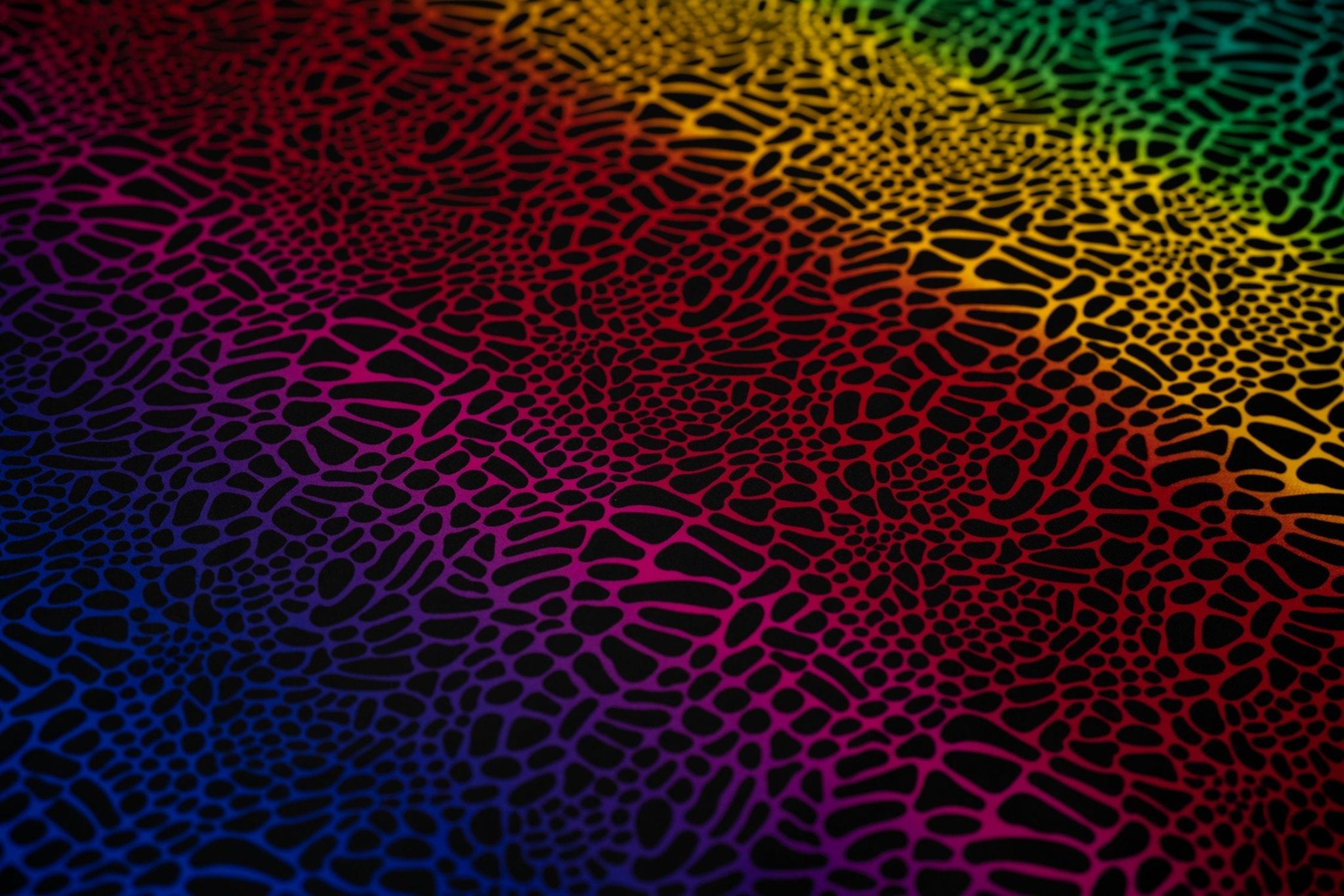 A flat sample of Multicolor Safari Spots Printed Spandex