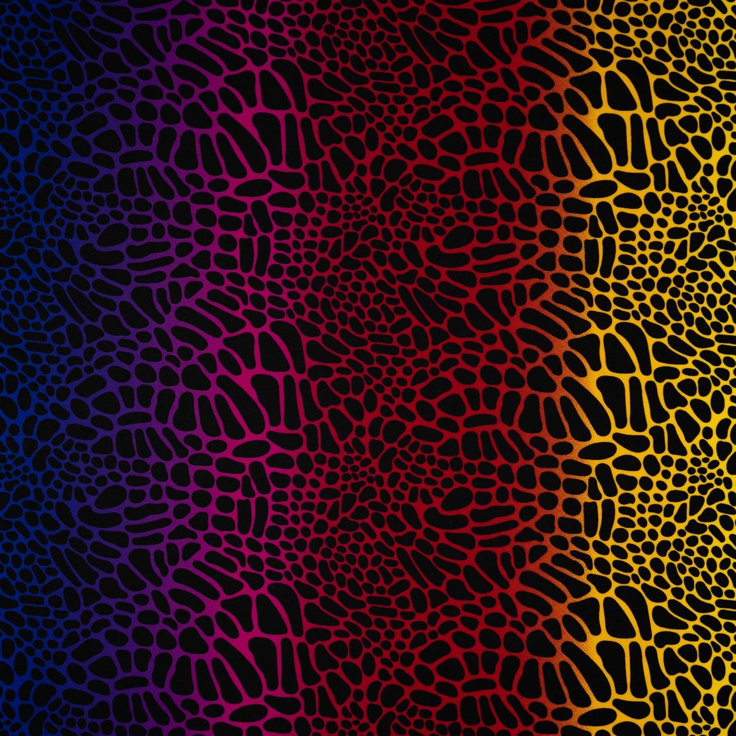 A flat sample of Multicolor Safari Spots Printed Spandex