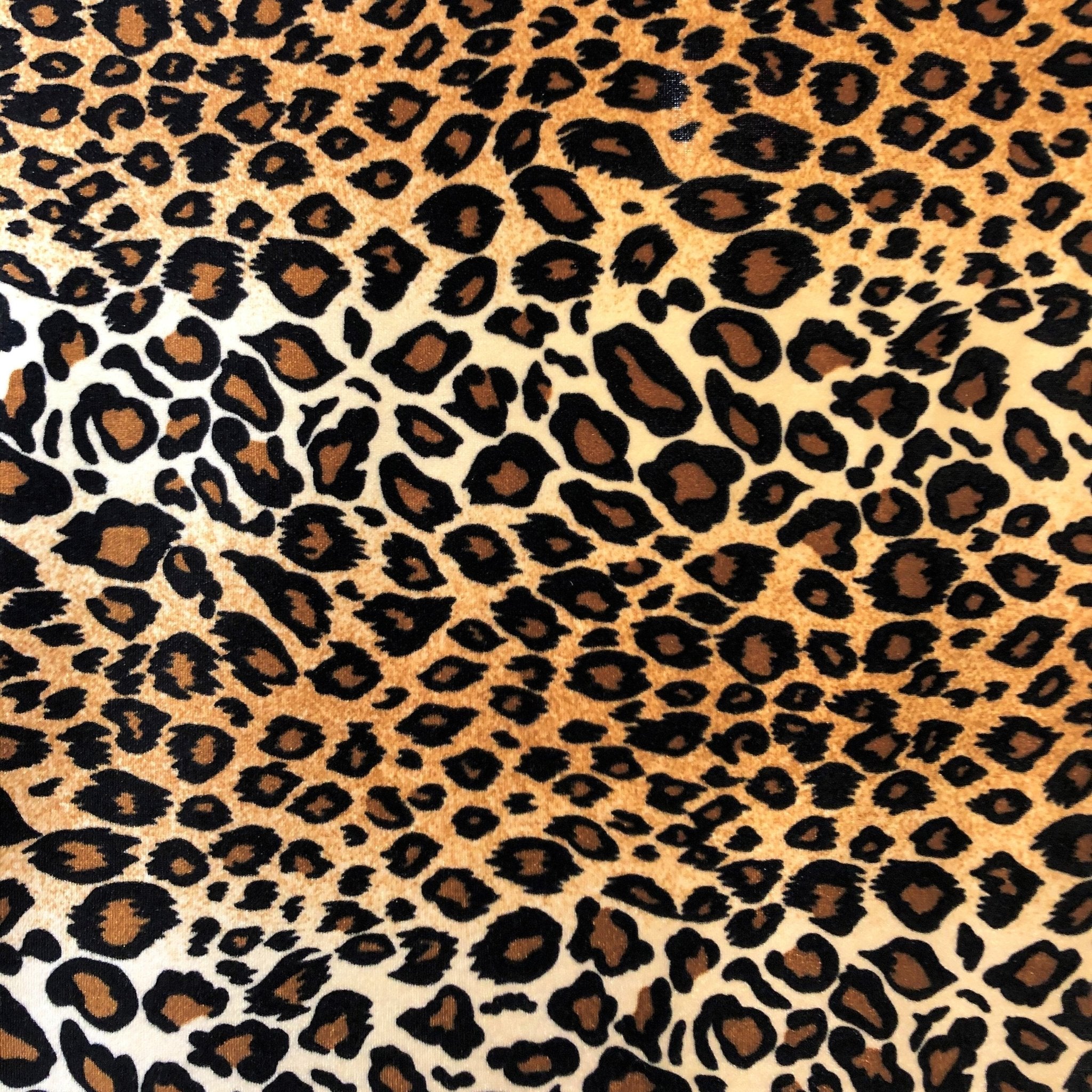 #color_leopard