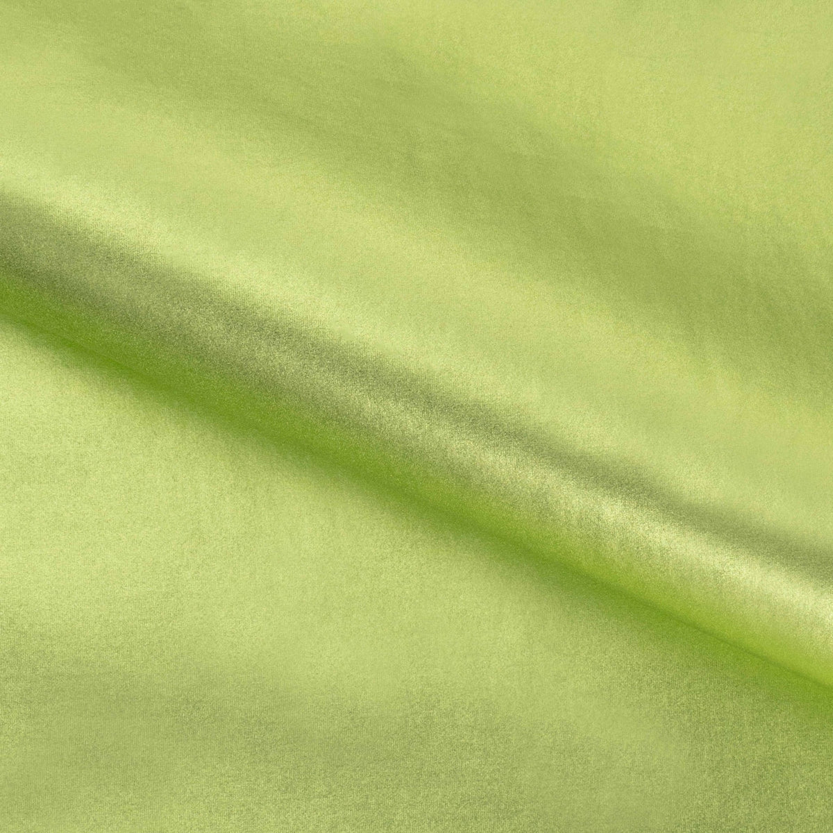 #color_Sage/Light Green