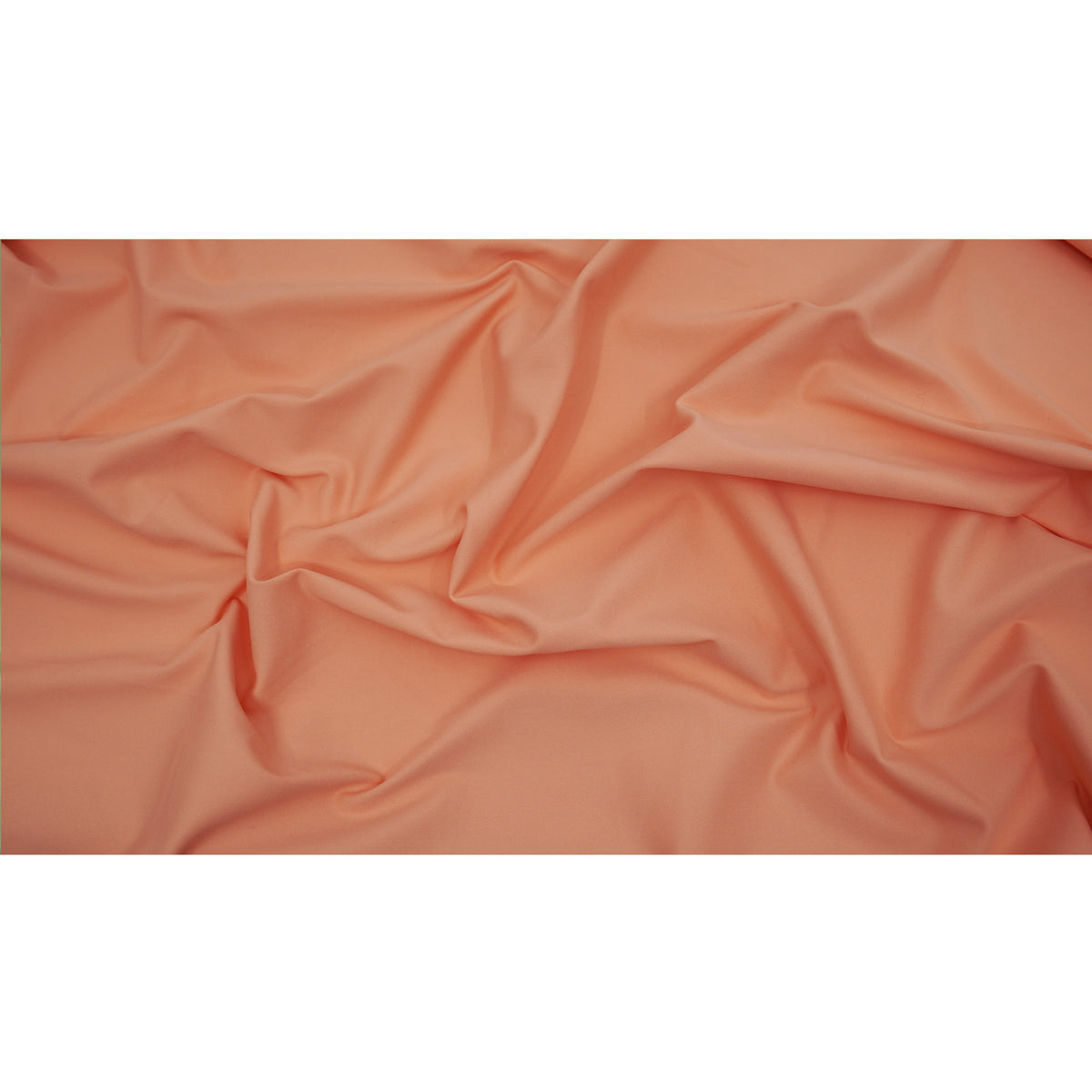 #color_tropical peach