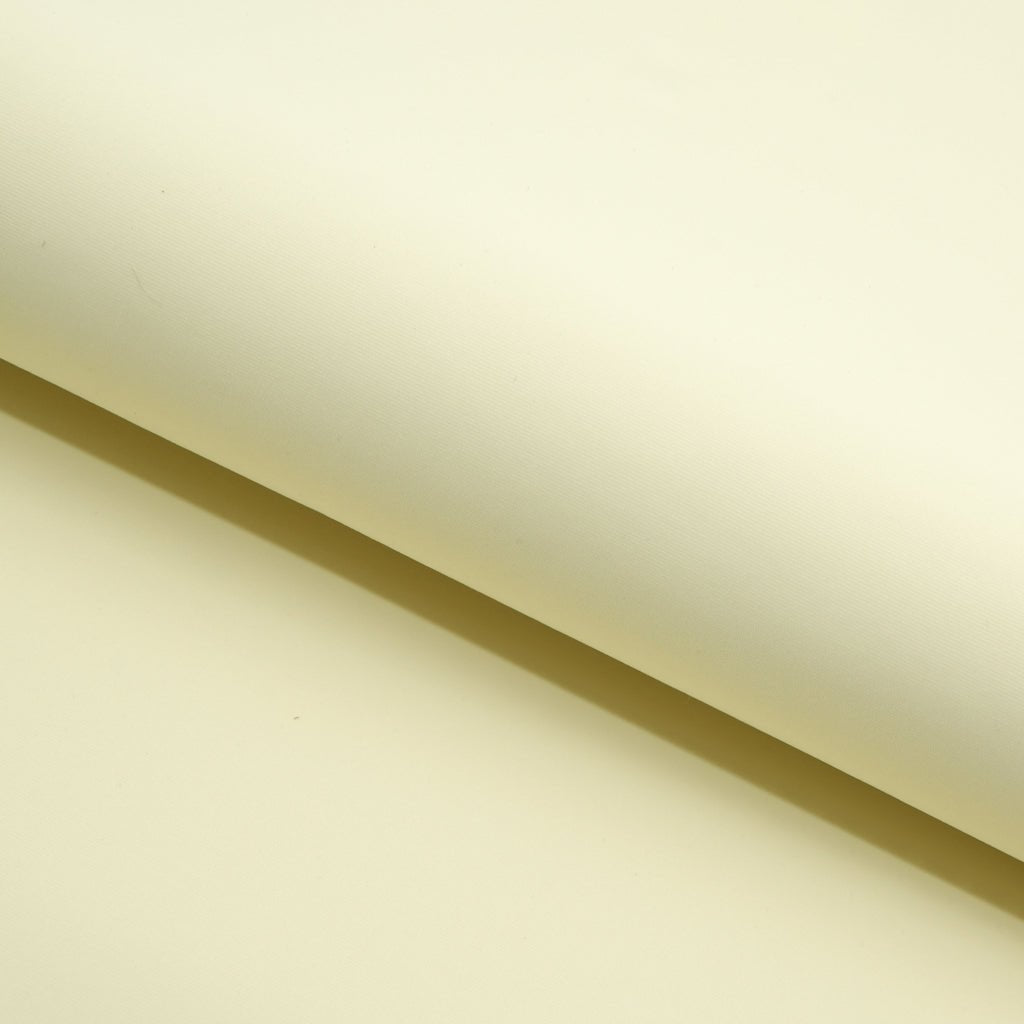 #color_ivory