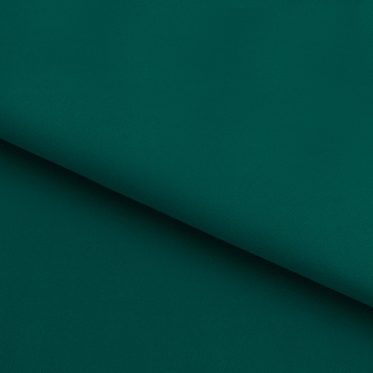 #color_evergreen