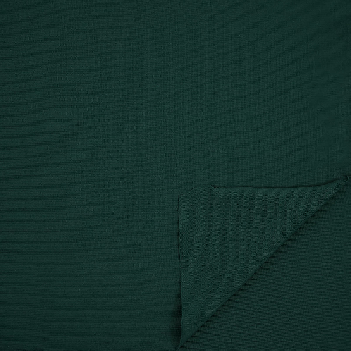 #color_alpine green
