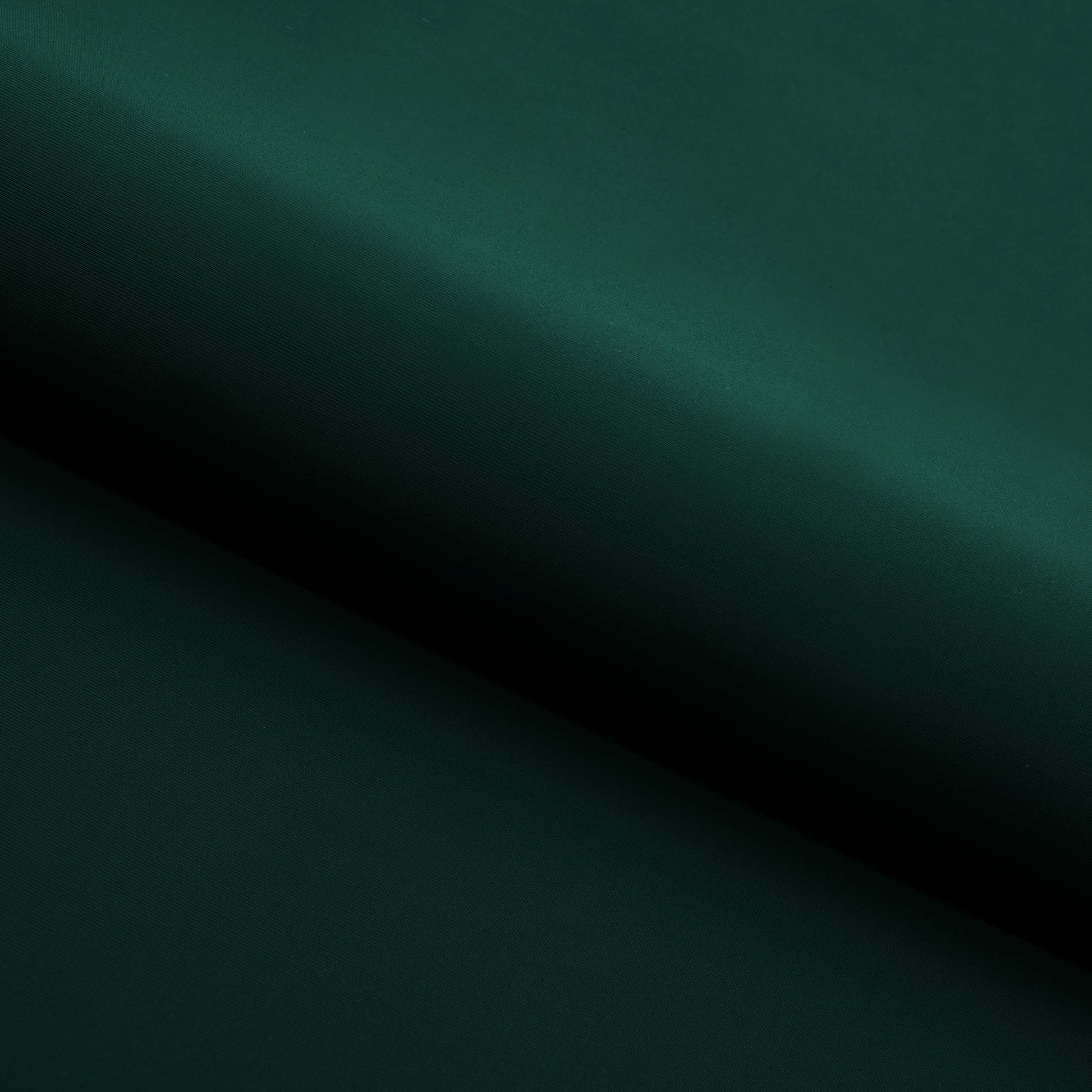 #color_alpine green