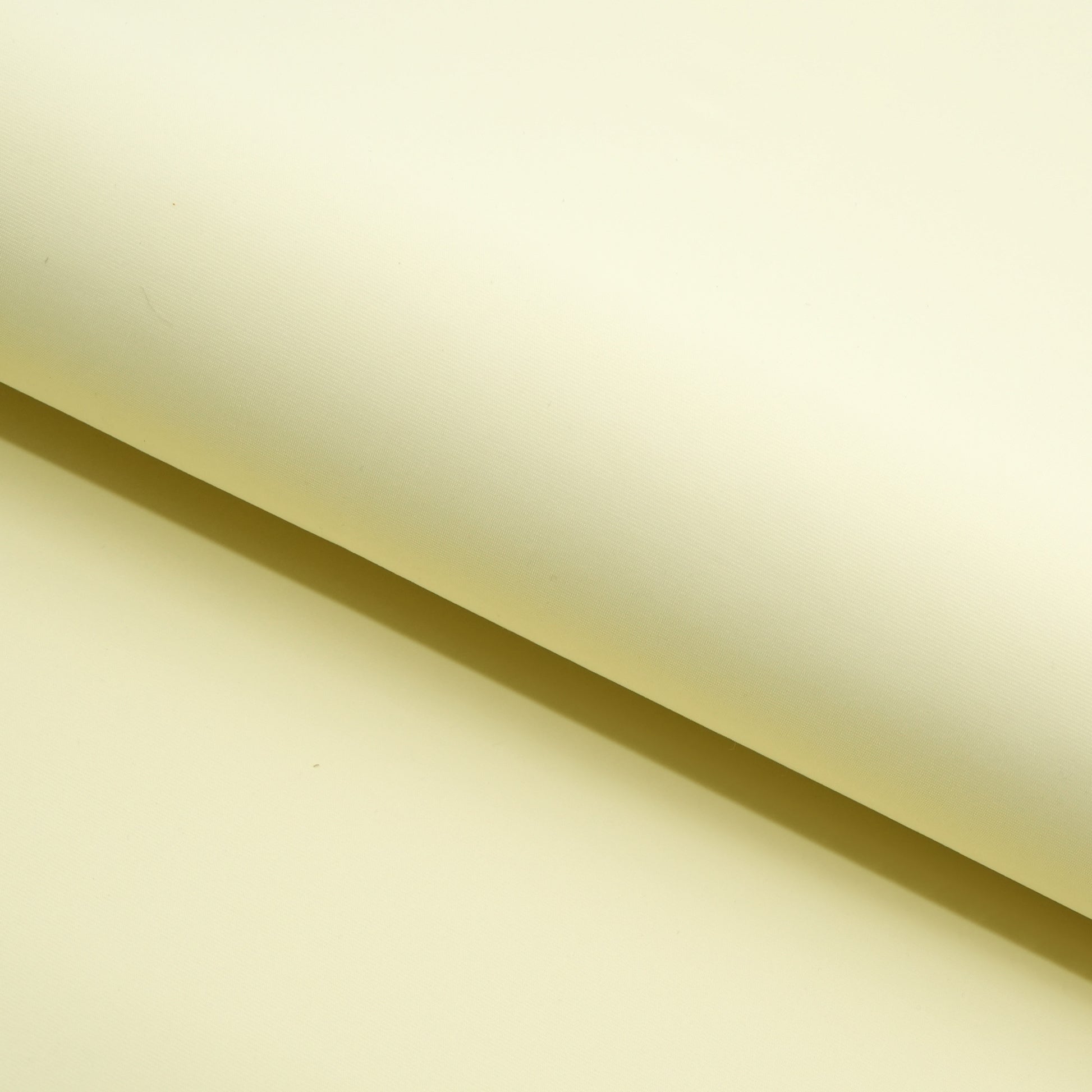 #color_Ivory