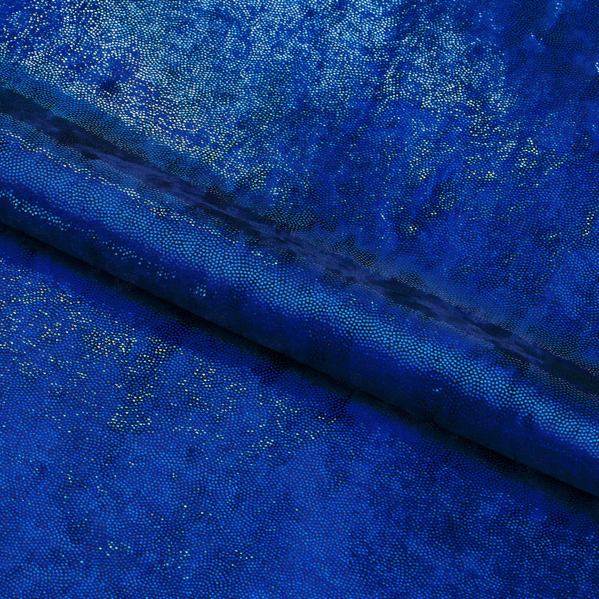 #color_Navy/Royal