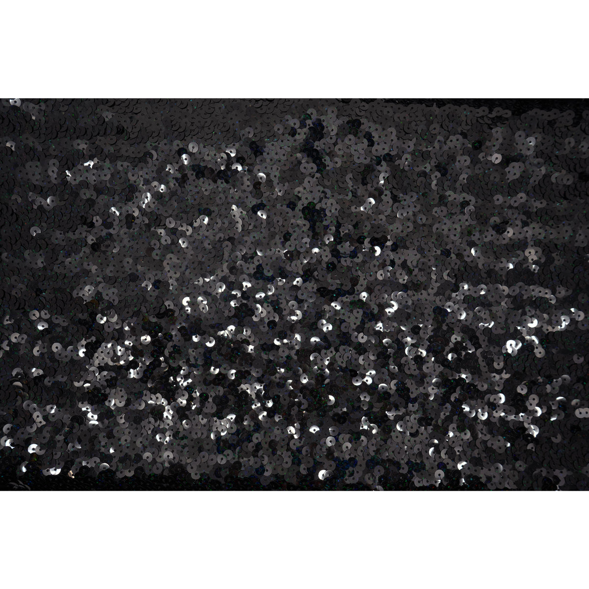 #color_holo black