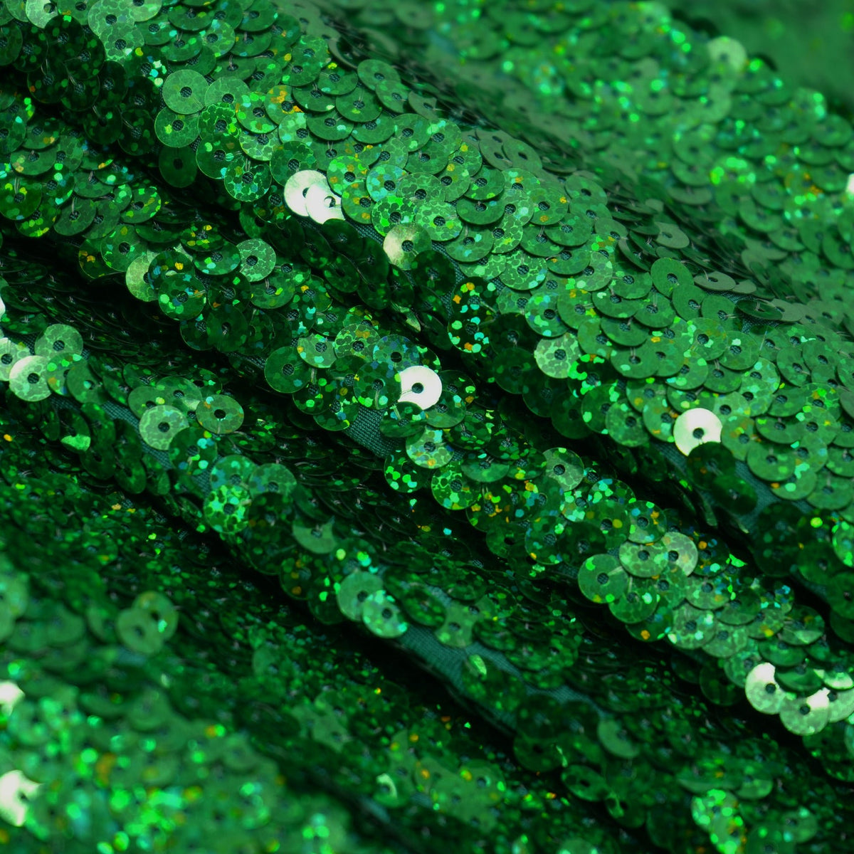 #color_holo kelly