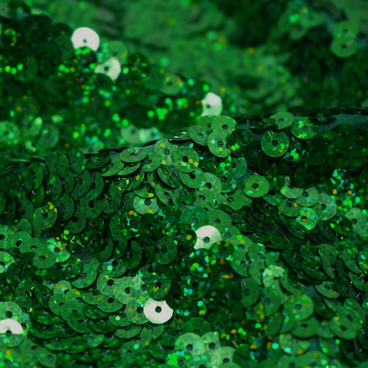 #color_holo kelly
