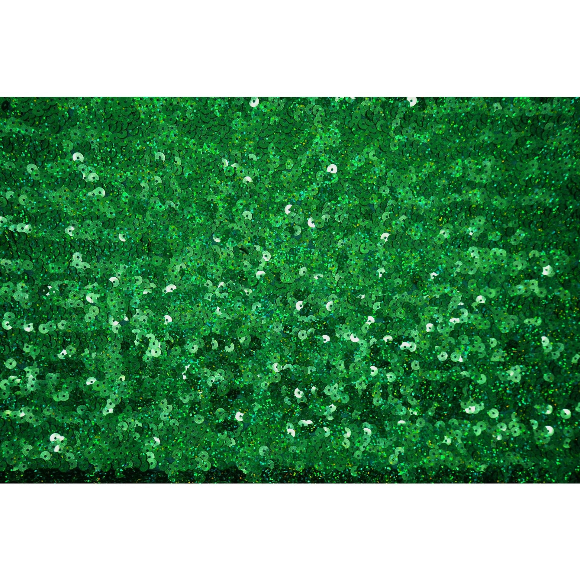 #color_holo kelly