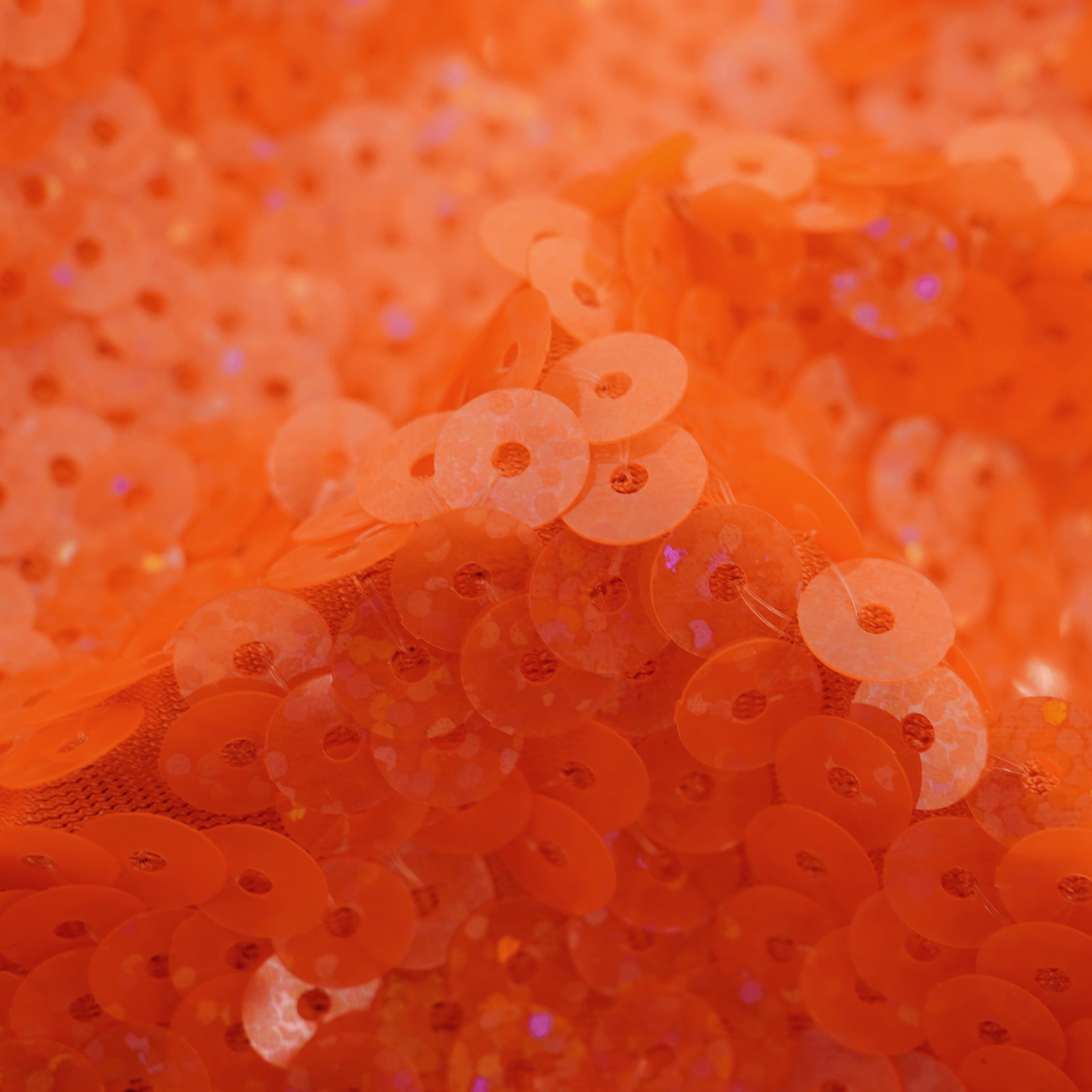 #color_holo orange