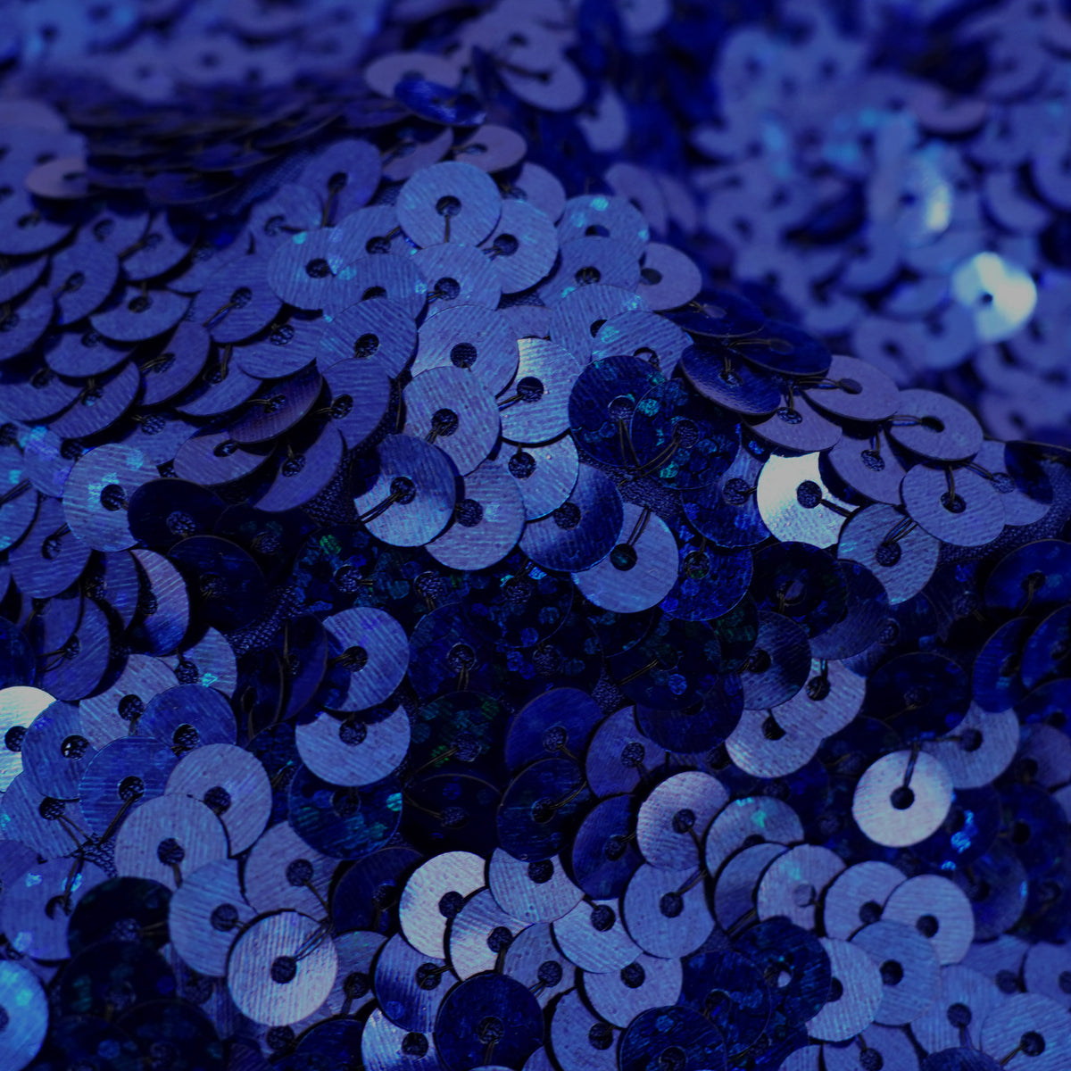 #color_holo royal