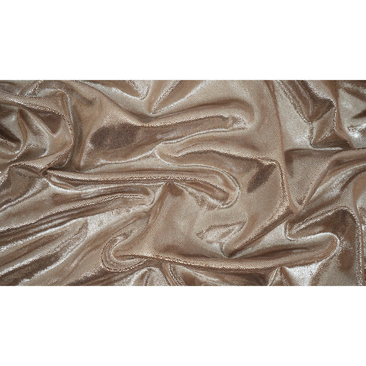#color_taupe/silver