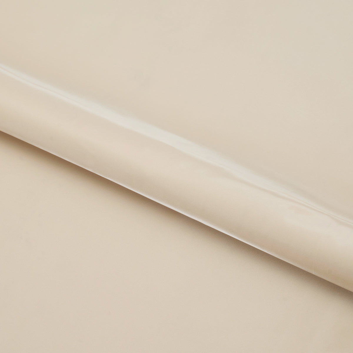 #color_pearl ivory