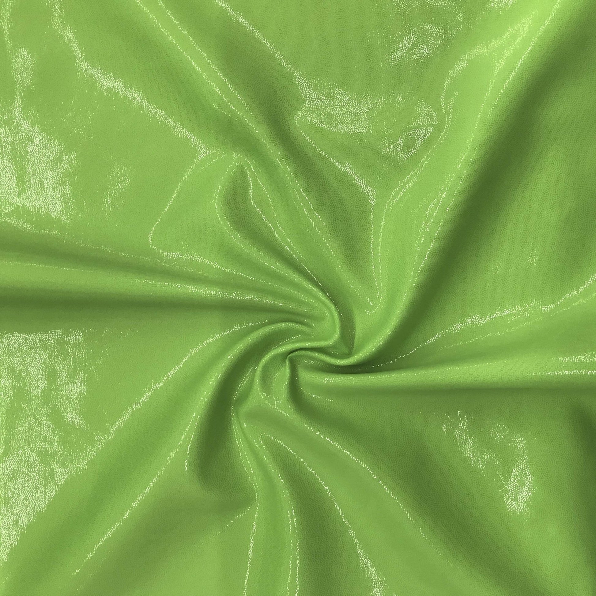 #color_neon lime