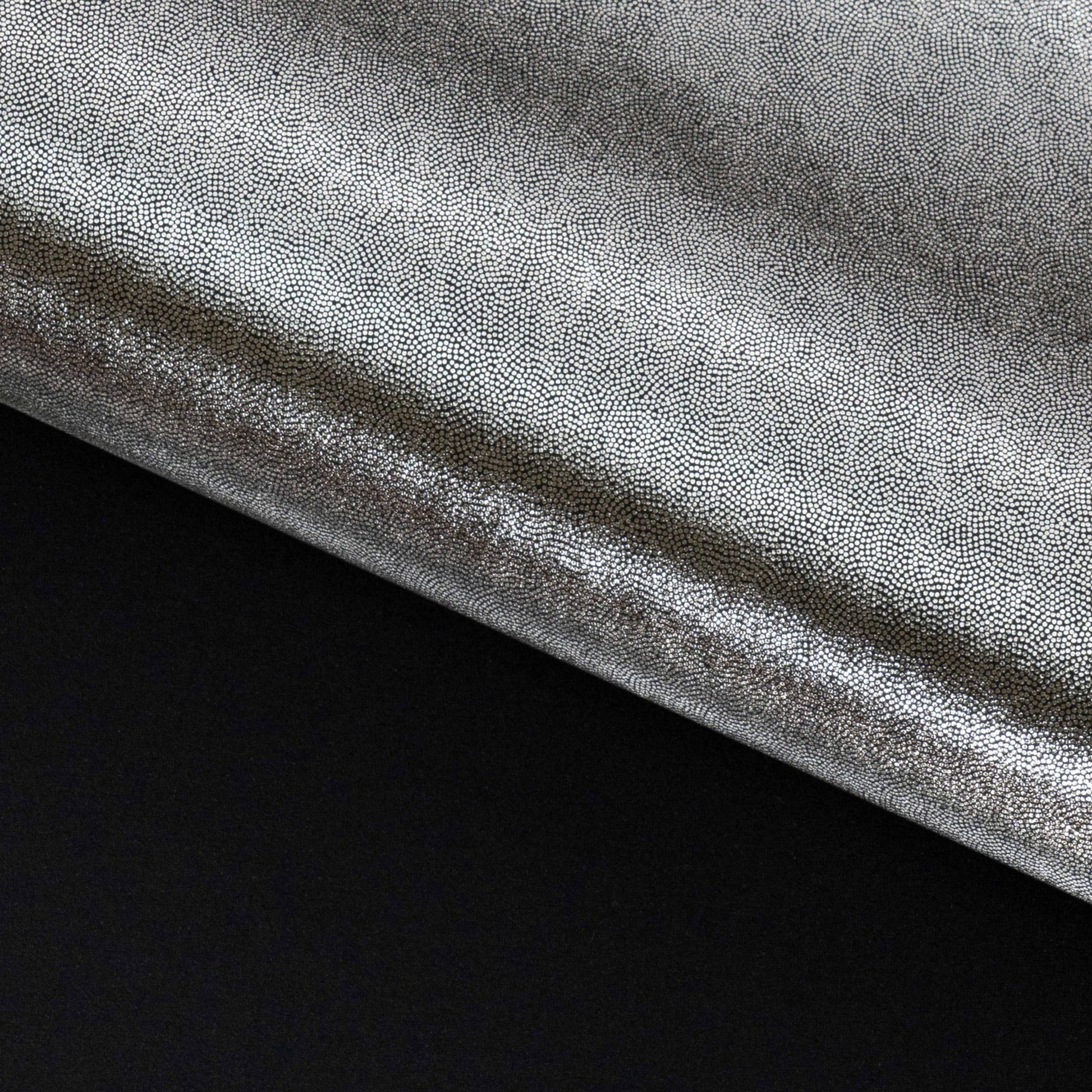 #color_Black/Silver
