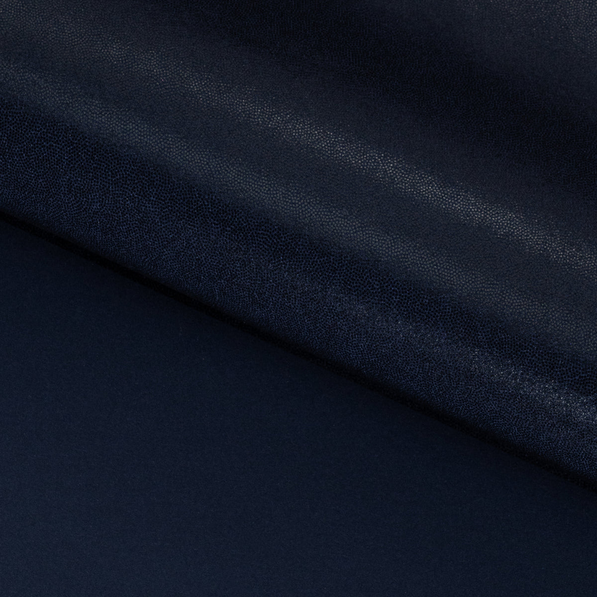 #color_navy/black