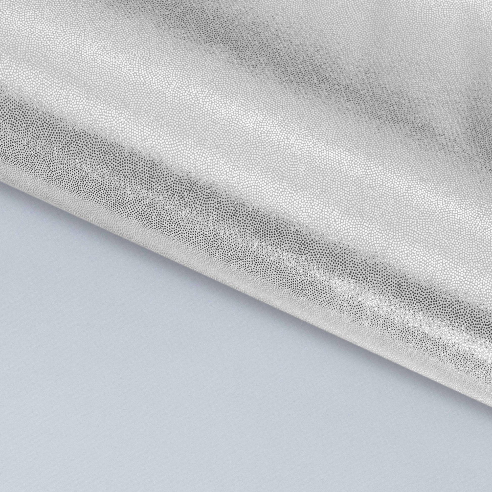 #color_white/silver