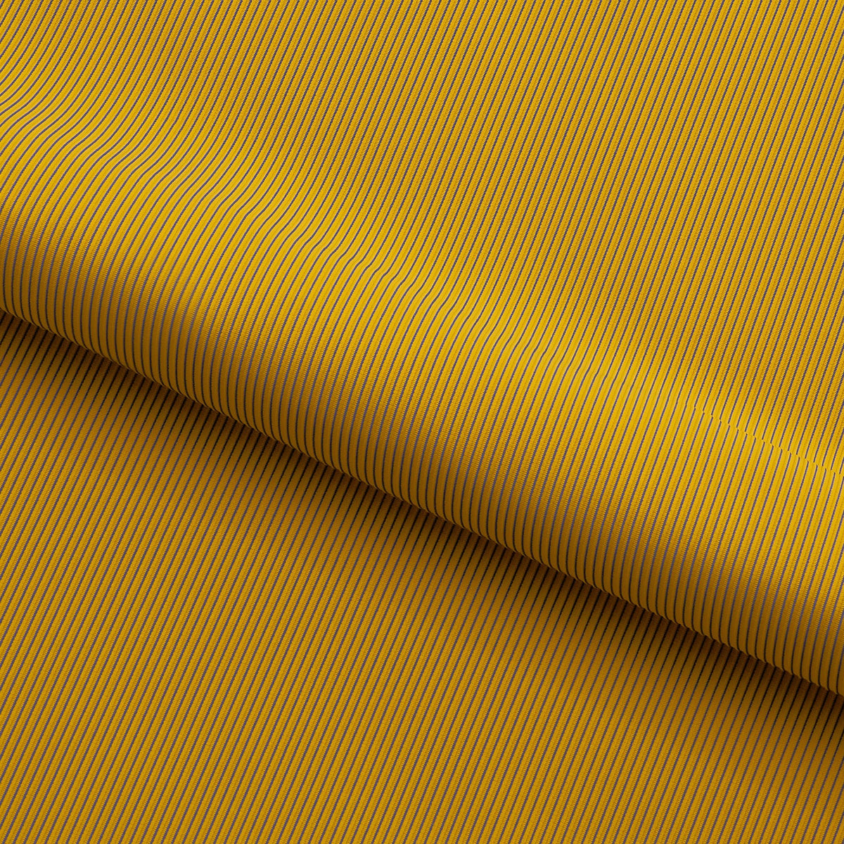 #color_Mustard/Royal