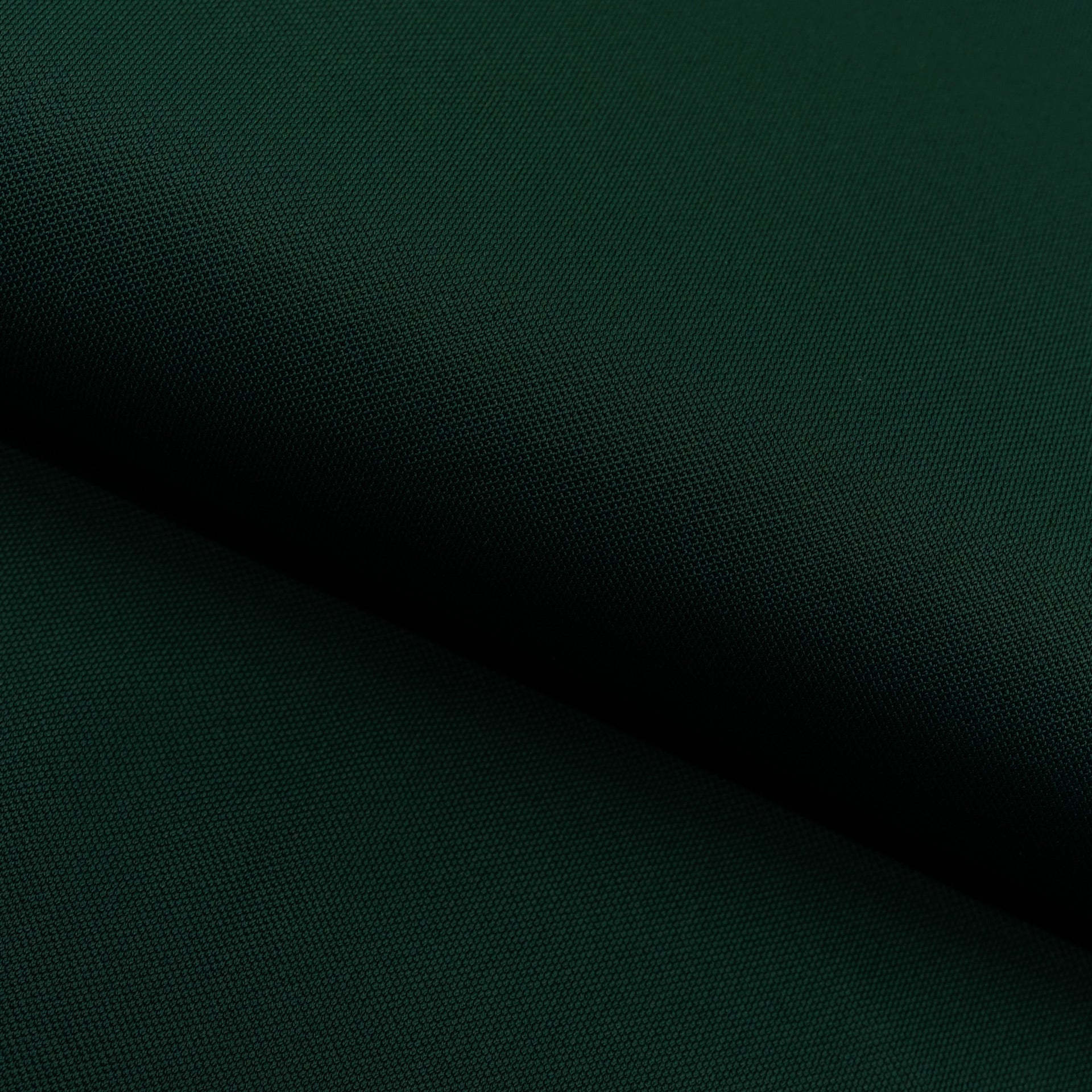 #color_alpine green