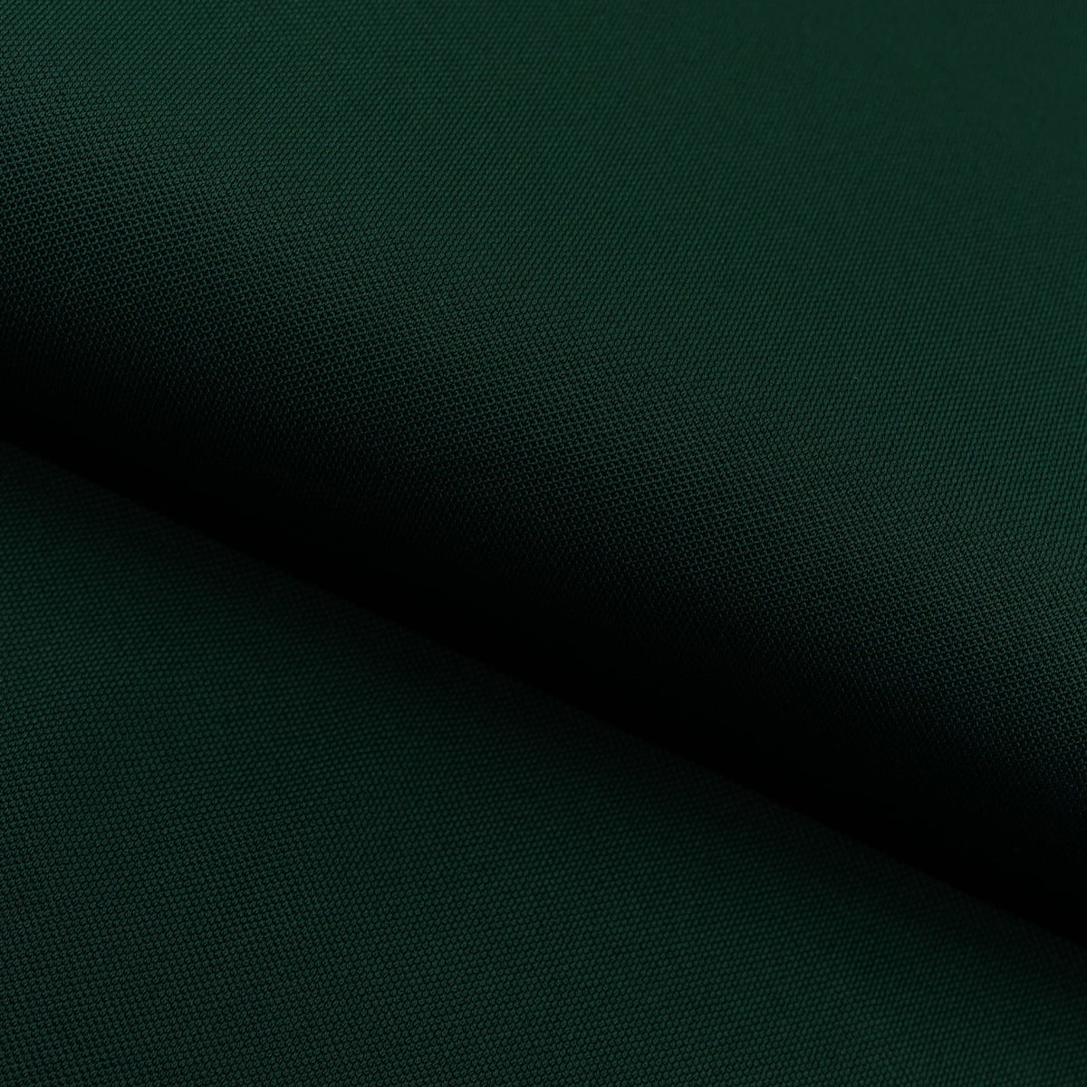 #color_alpine green