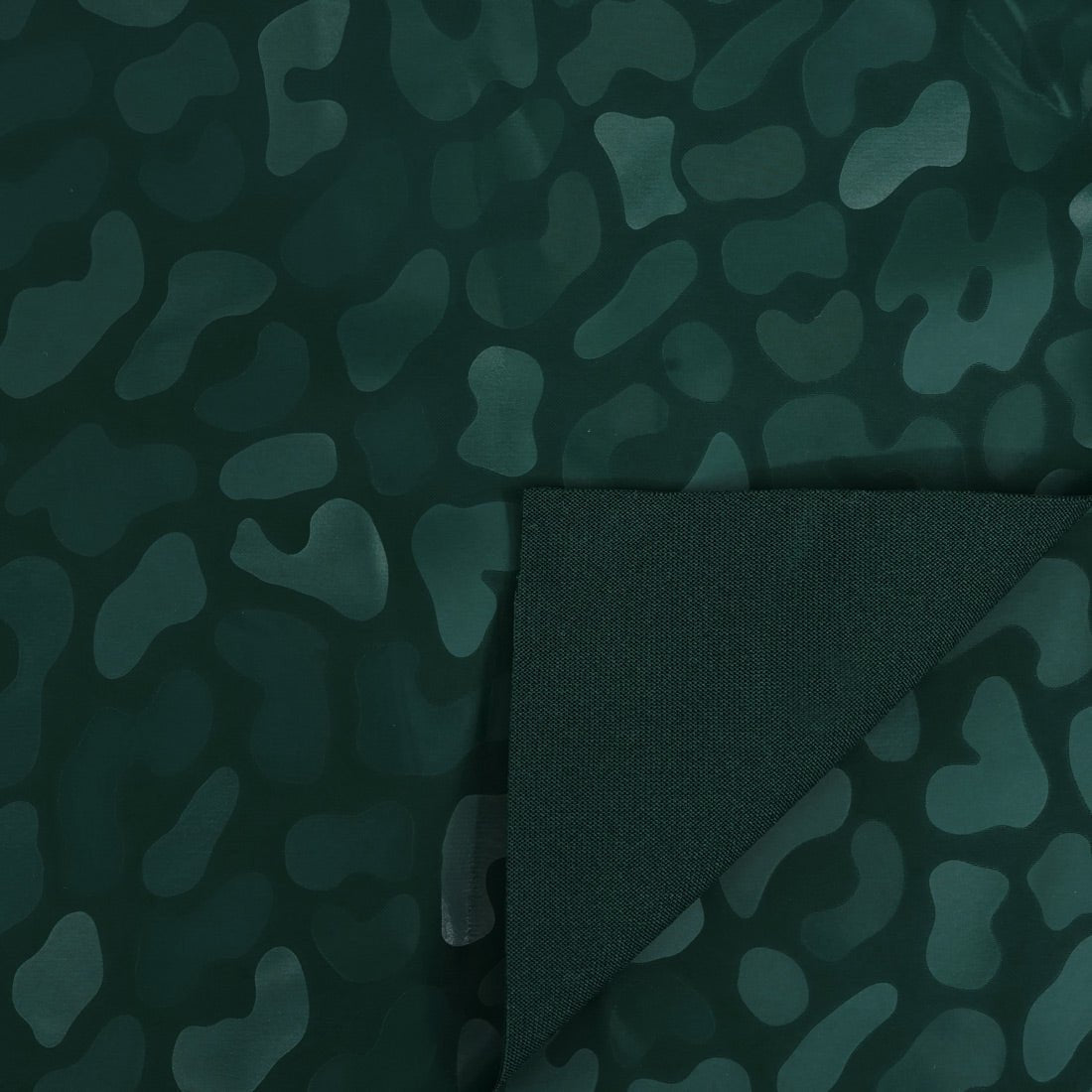 #color_alpine green