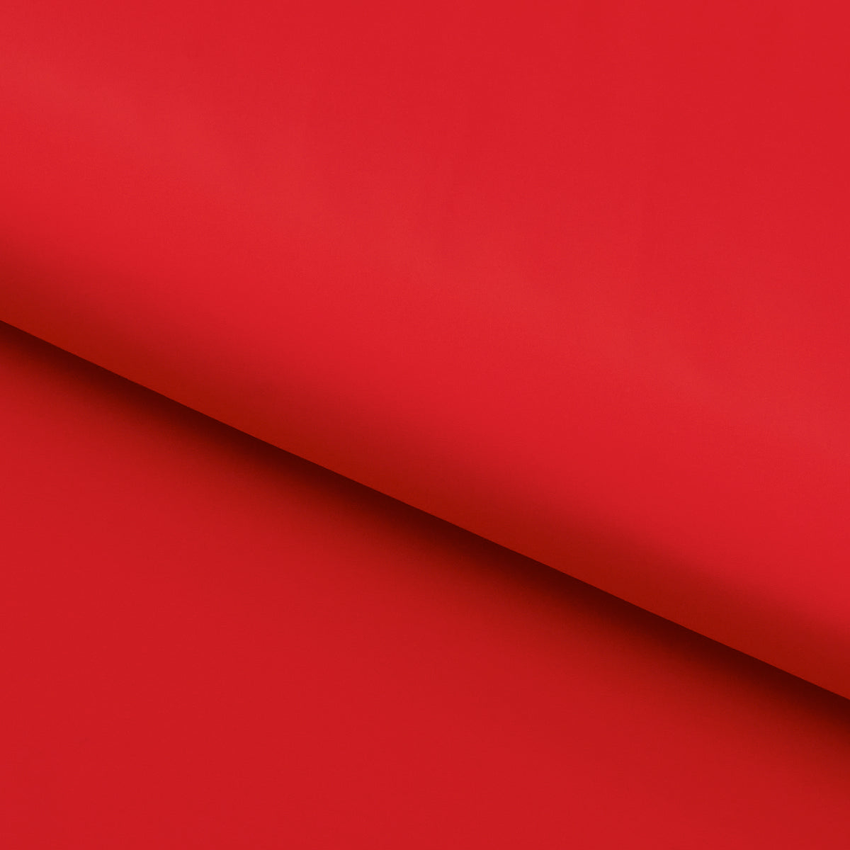 #color_hot coral