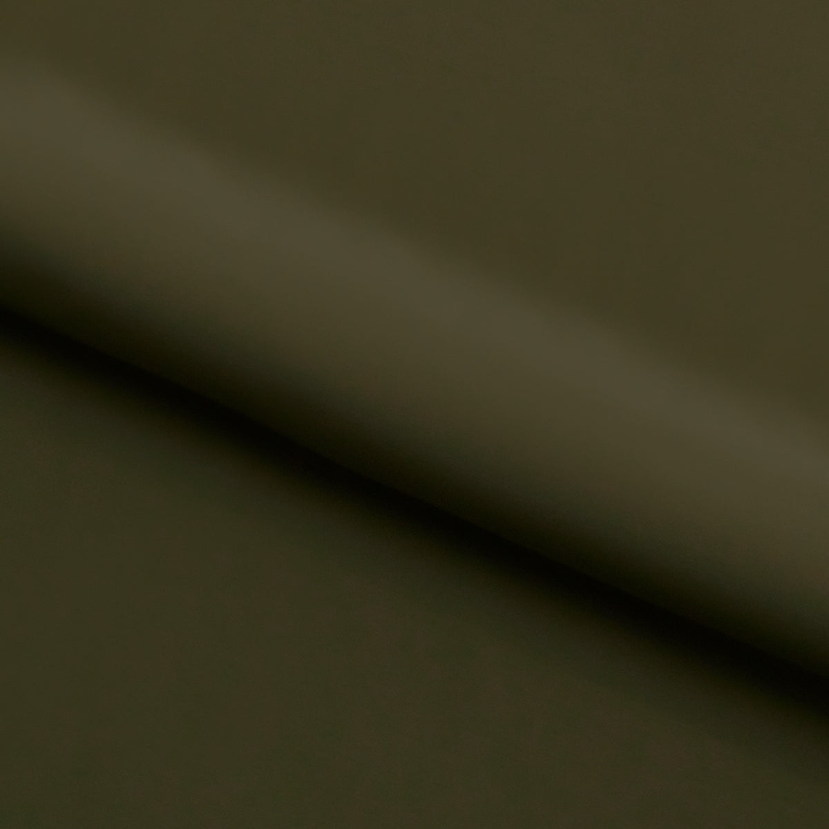 #color_olive green