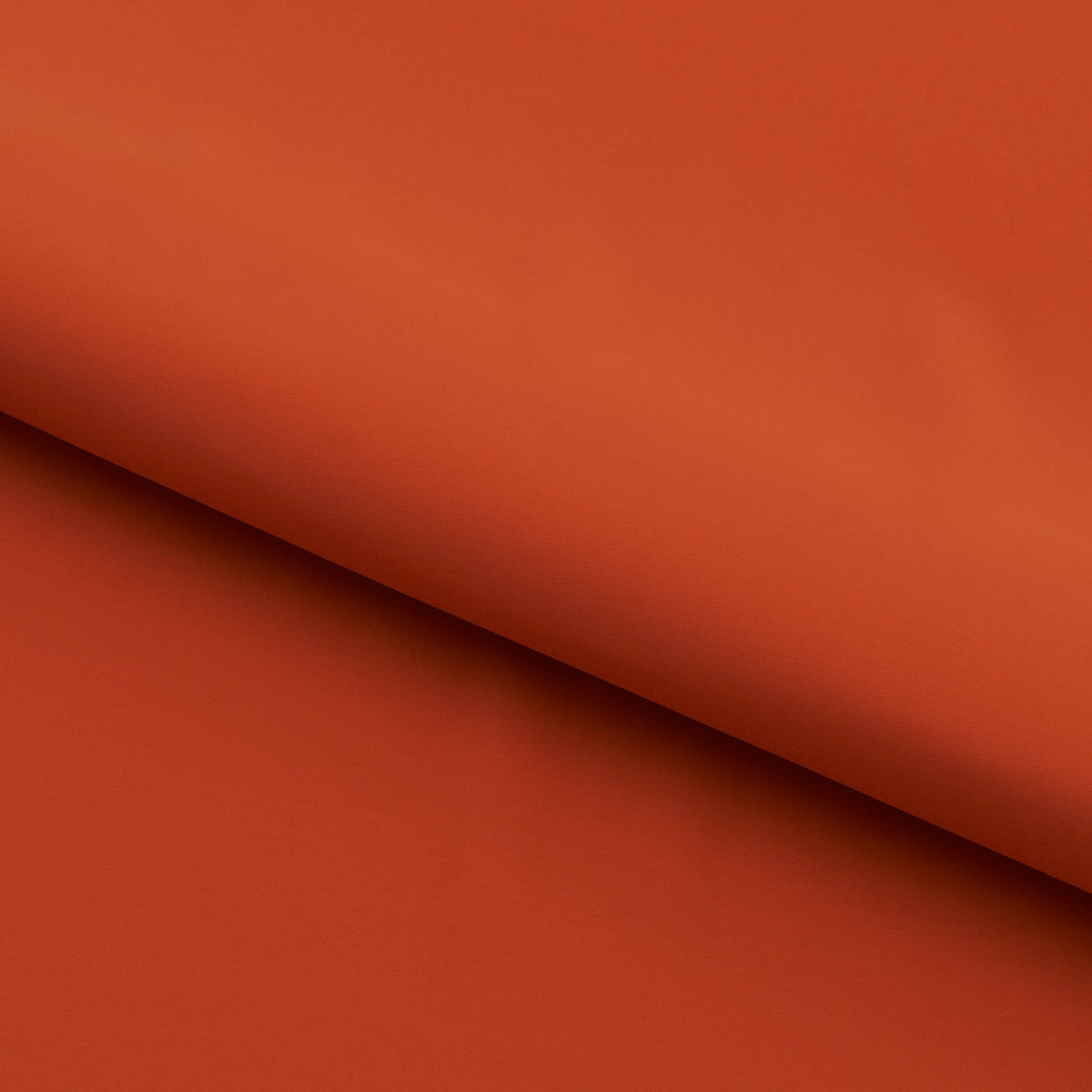 #color_penny