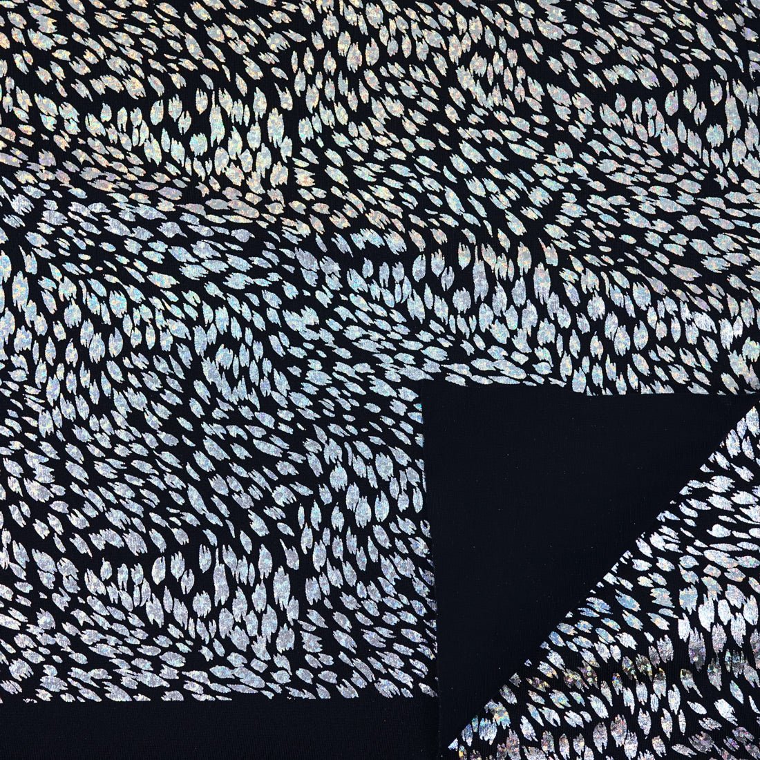 #color_black/silver