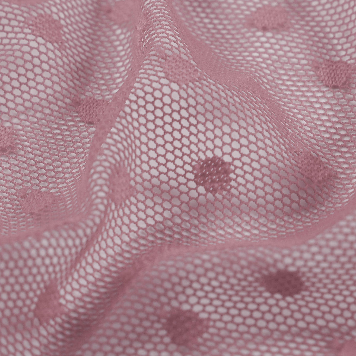 #color_champagne