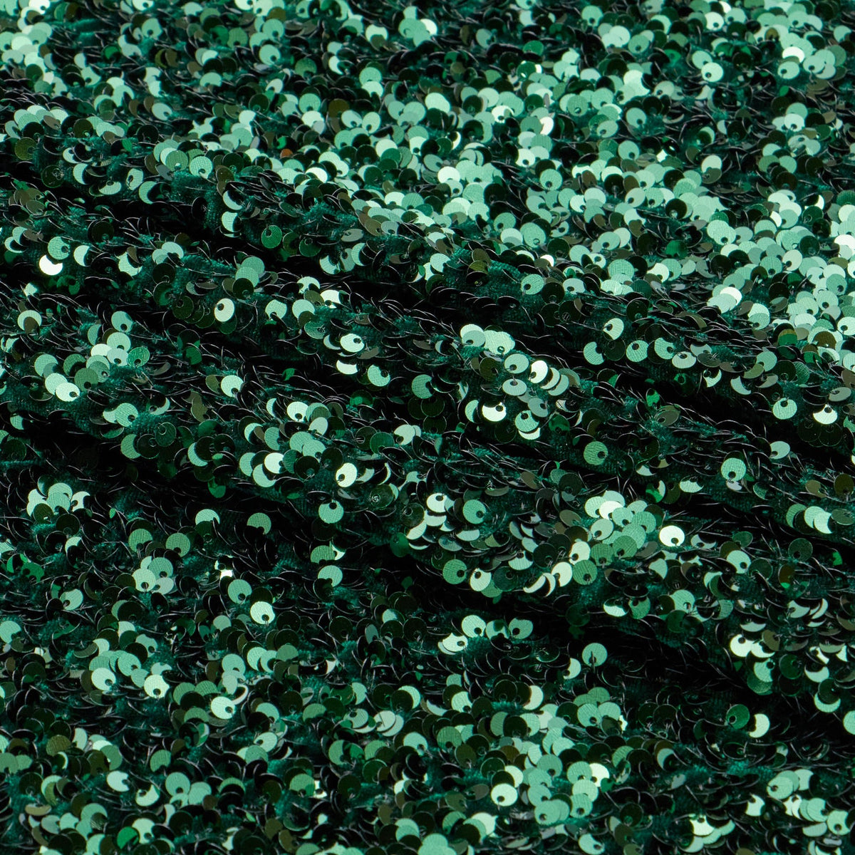 #color_Forest/Forest