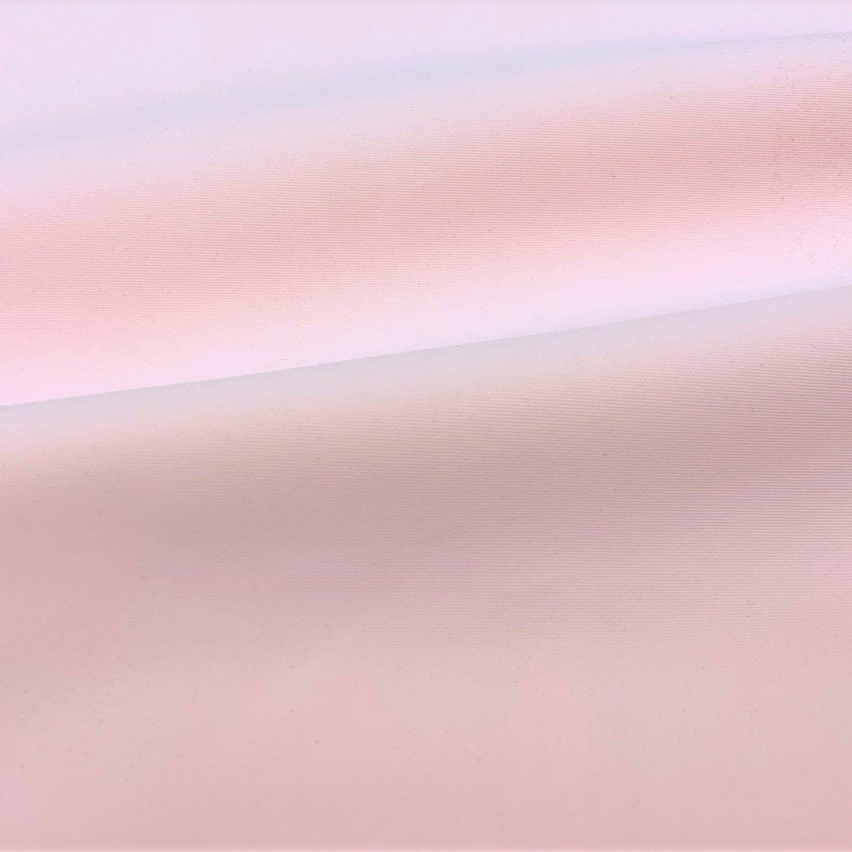 #color_petal pink