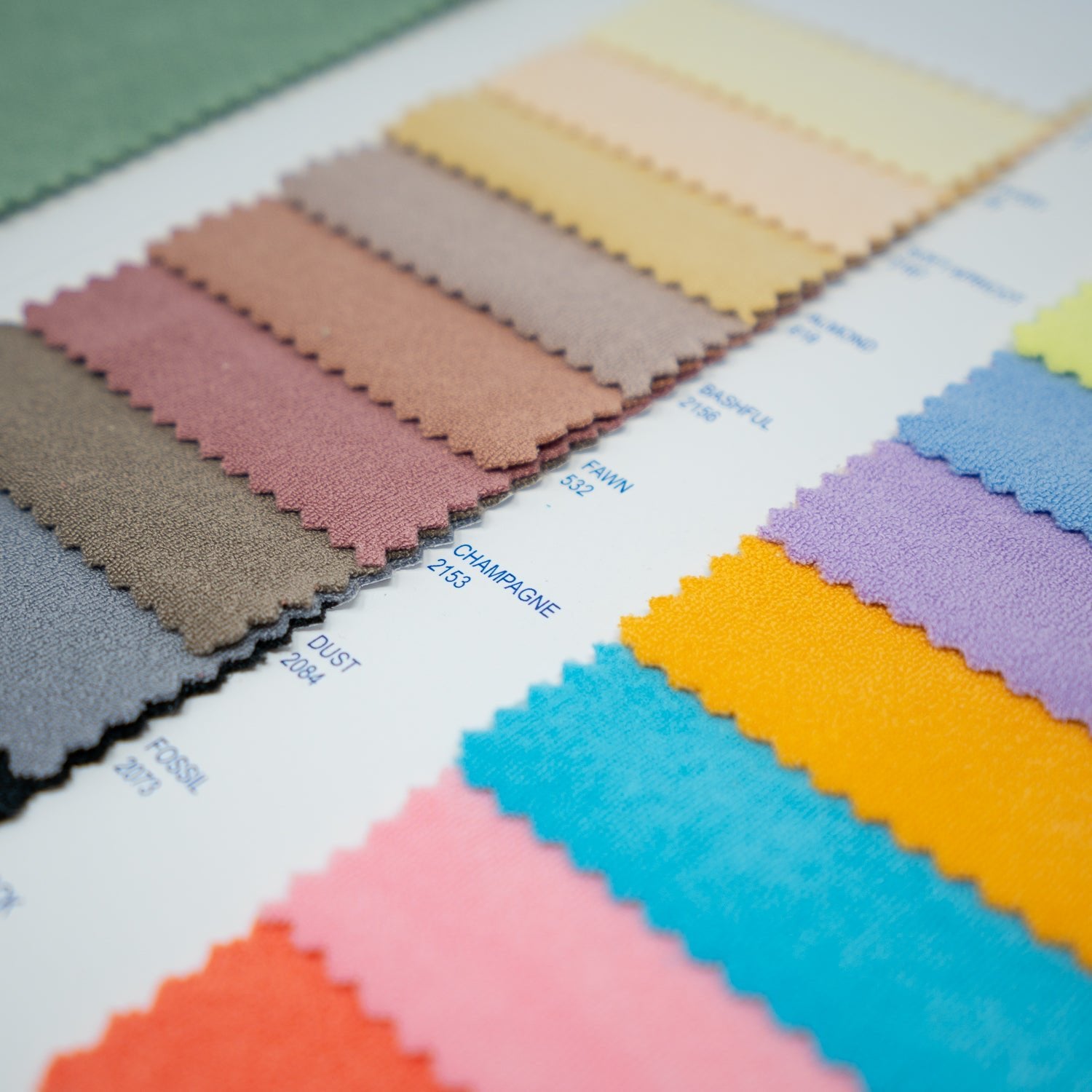 Detailed interior shot of Cozy Color Card book.
