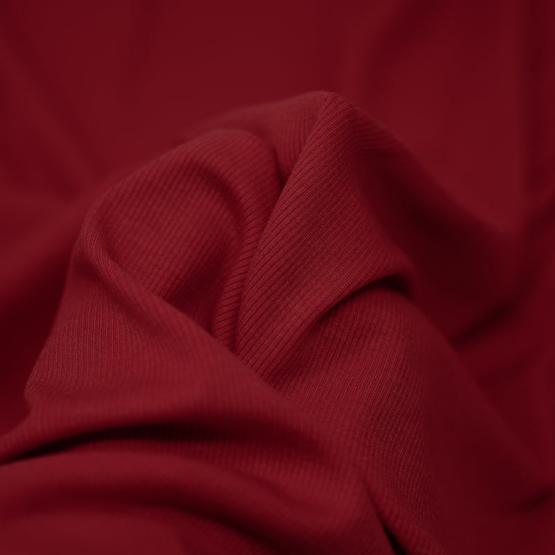 Embody Tencel Lyocell Spandex Rib Jersey Fabric