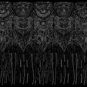 #color_black/black