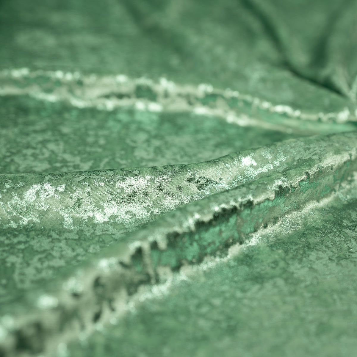 #color_mint/mint