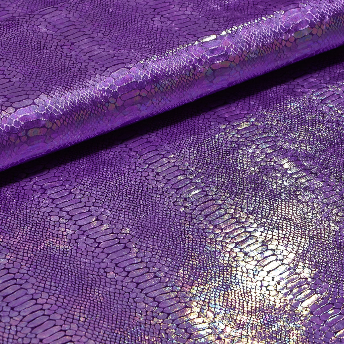 #color_purple