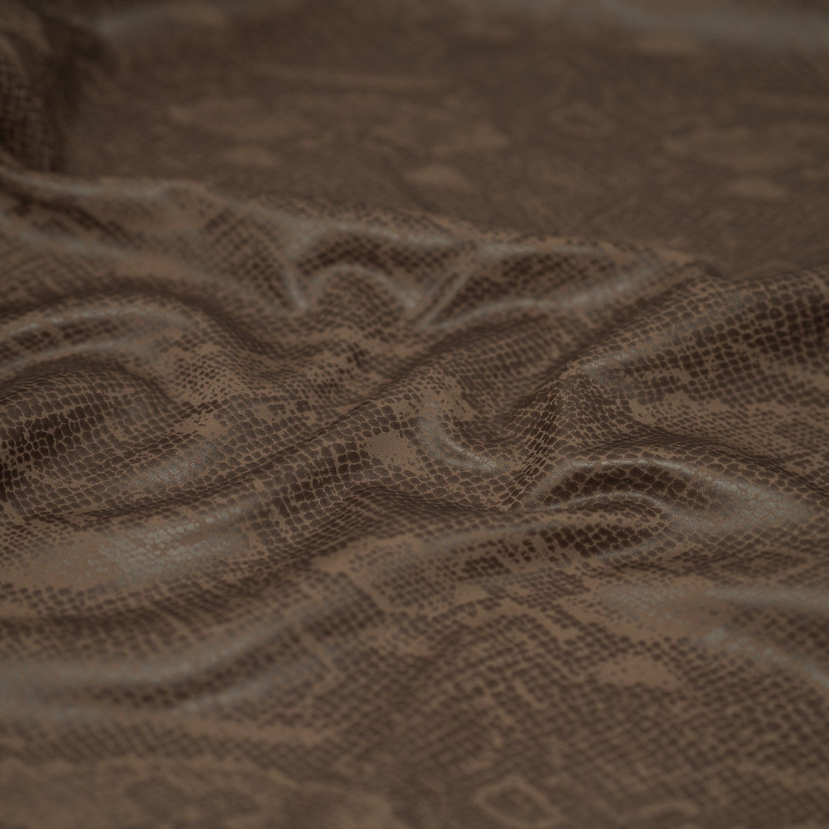 #color_Brown