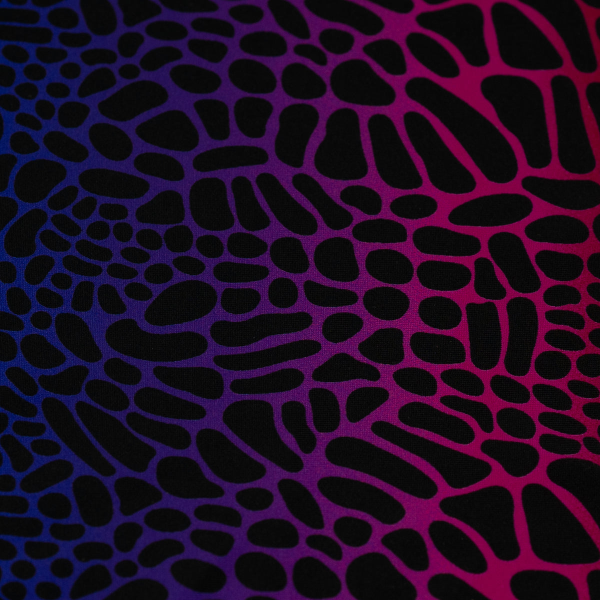 A flat sample of Multicolor Safari Spots Printed Spandex 