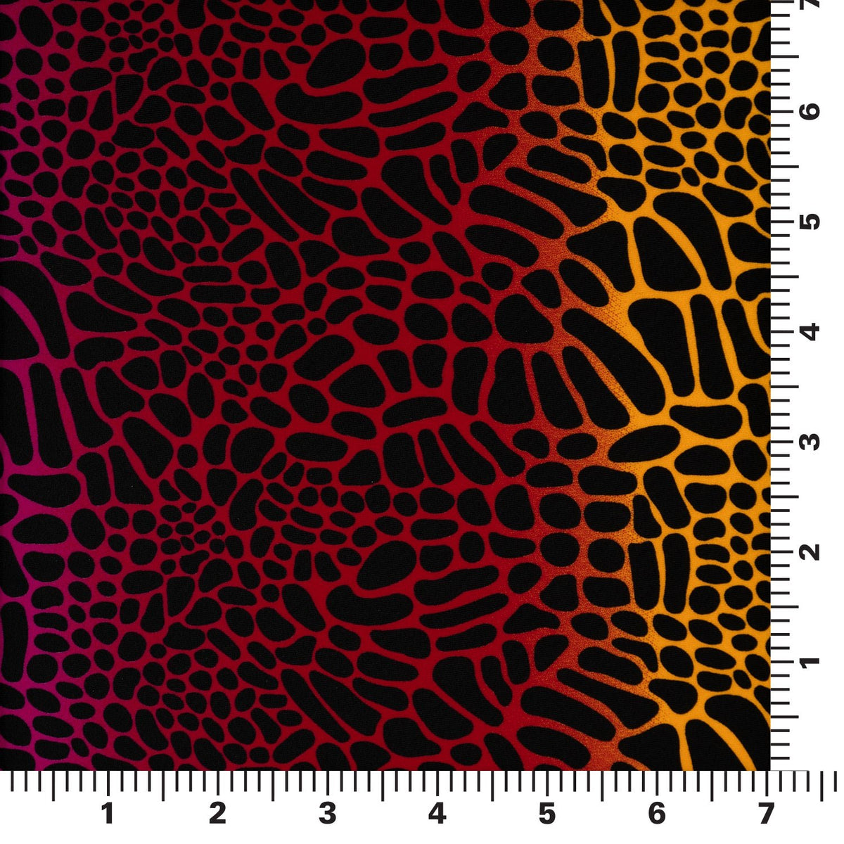 A measured panel 7" x7" piece of Multicolor Safari Spots Printed Spandex