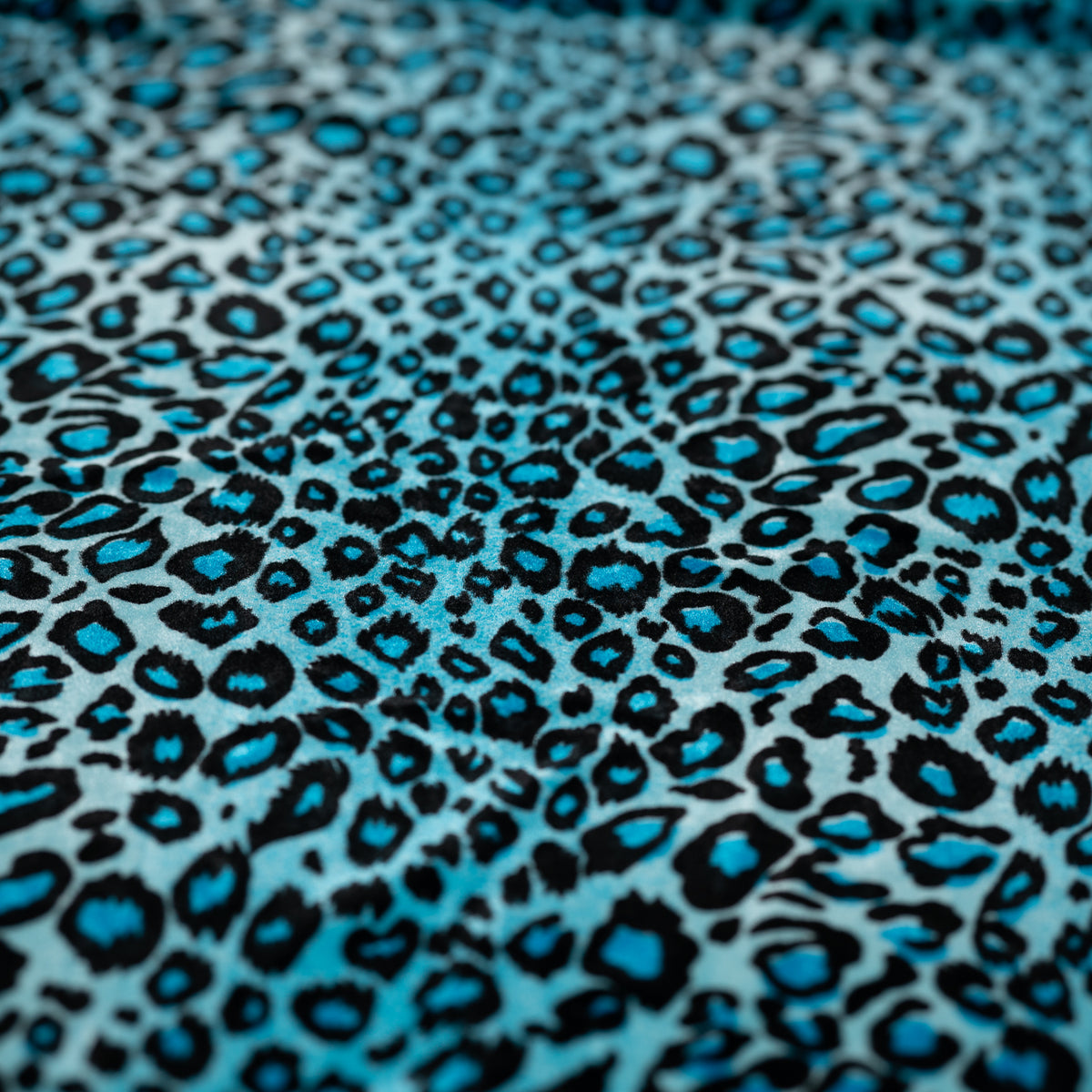 #color_blue/black