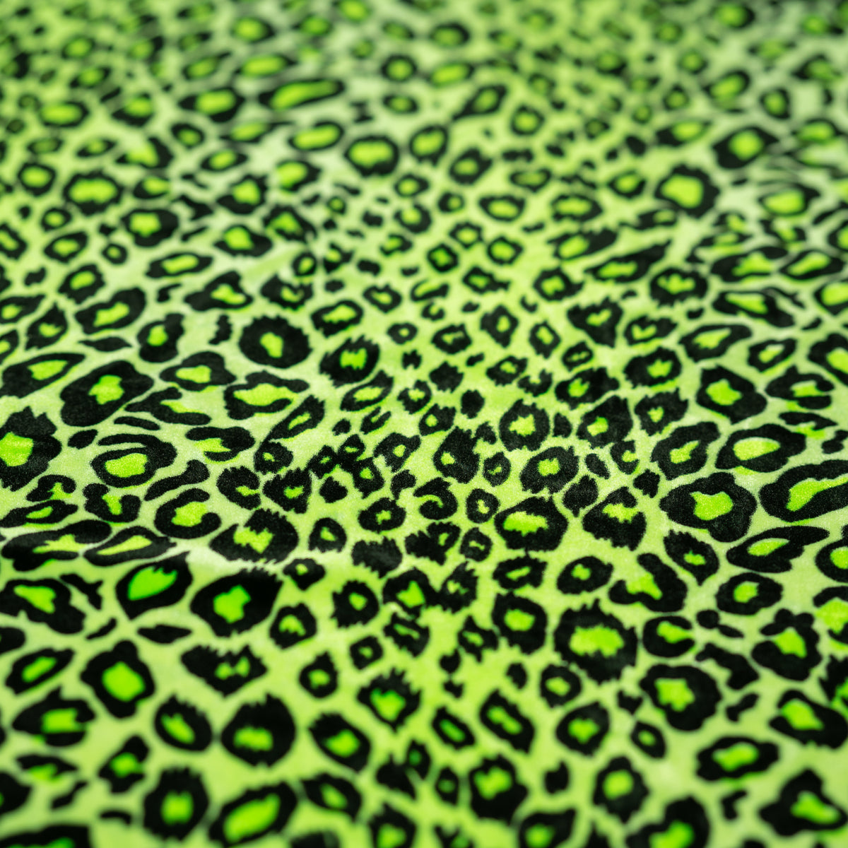 #color_lime/black