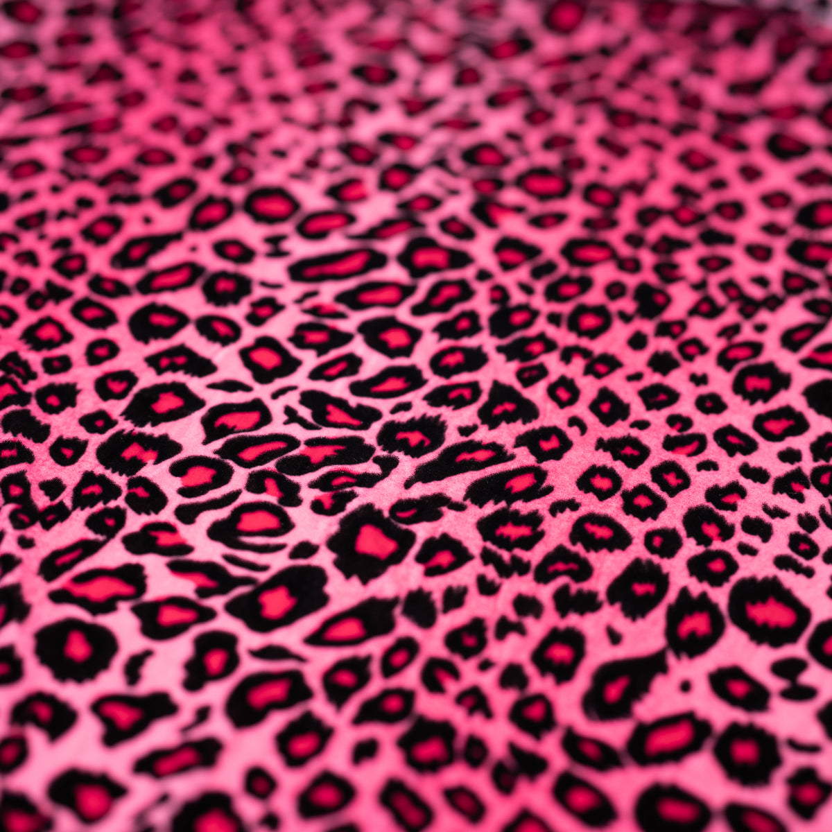 #color_pink/black