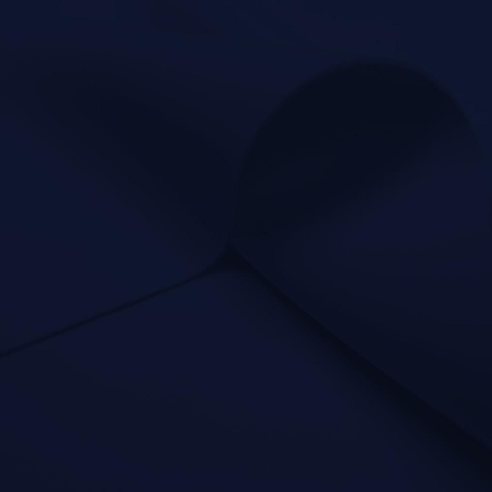 #color_dark navy