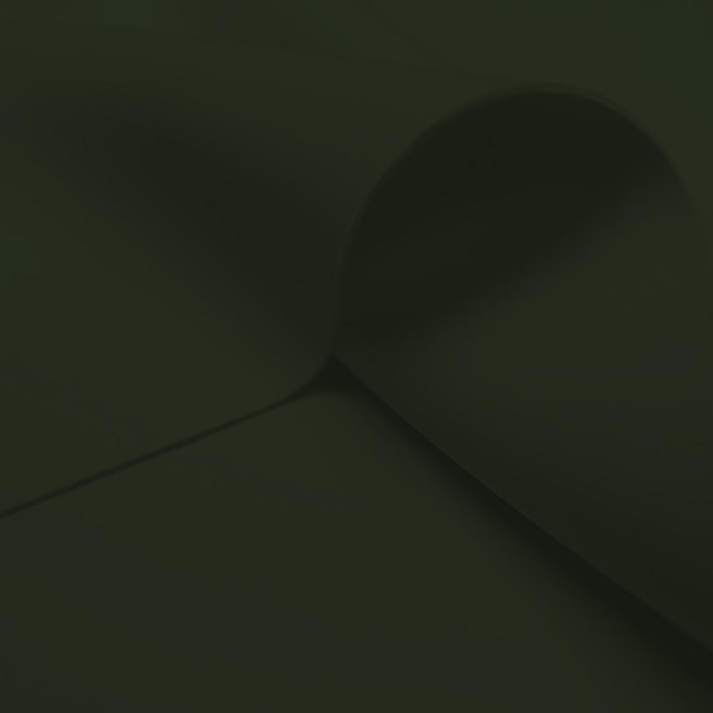 #color_olive