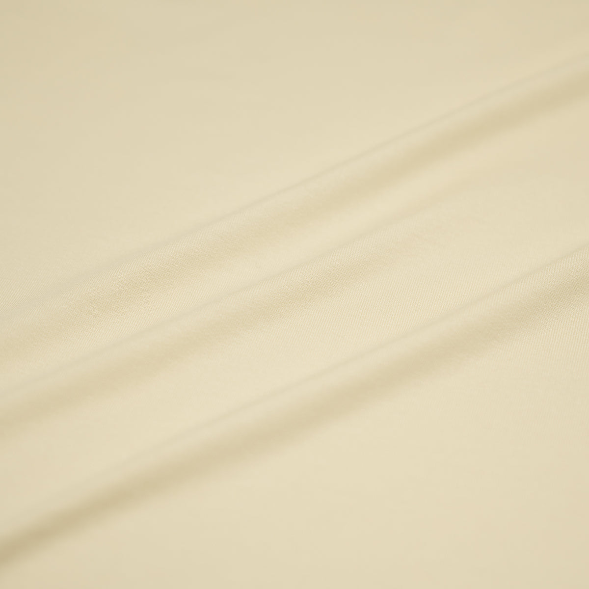 #color_Ivory