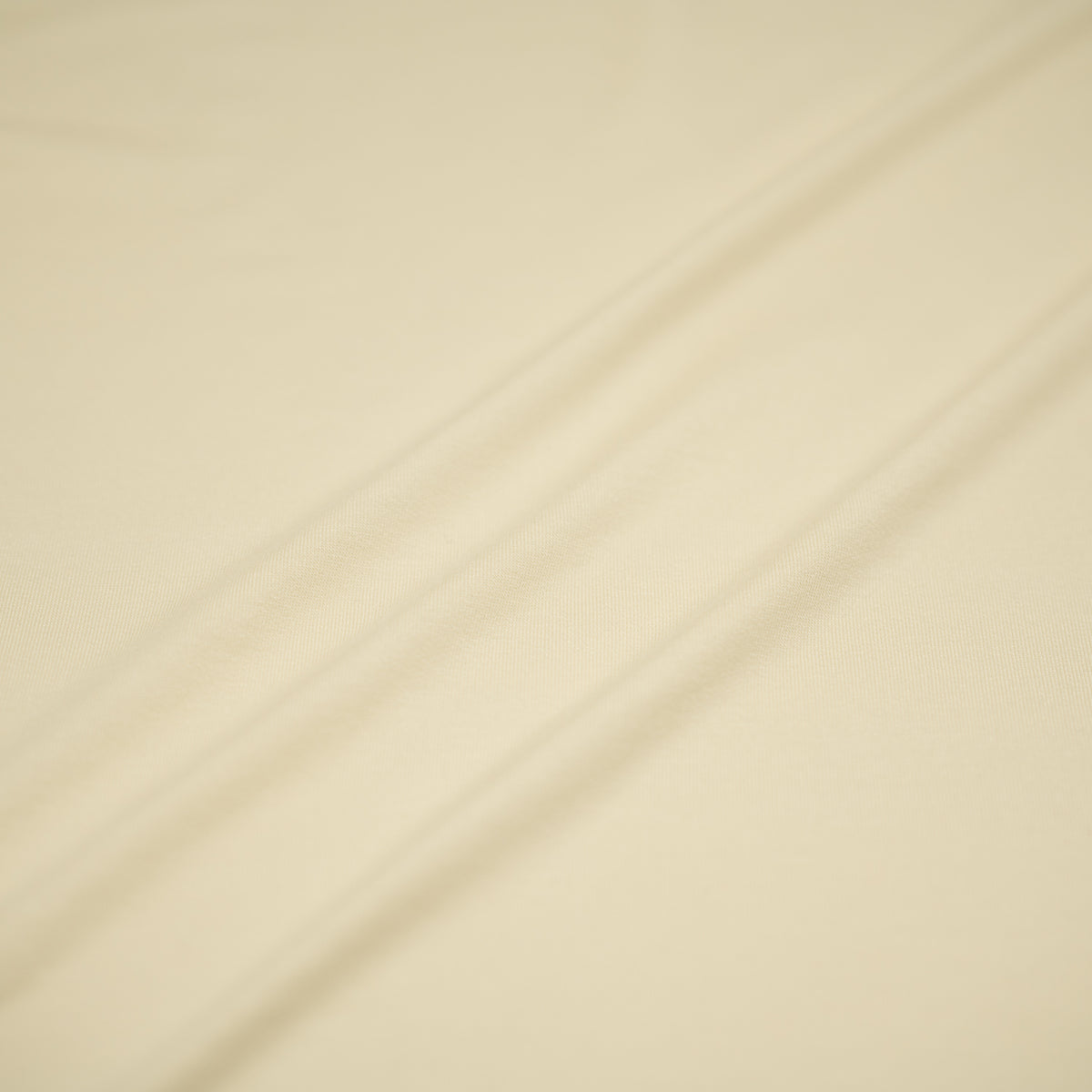 #color_ivory
